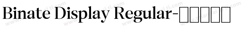 Binate Display Regular字体转换